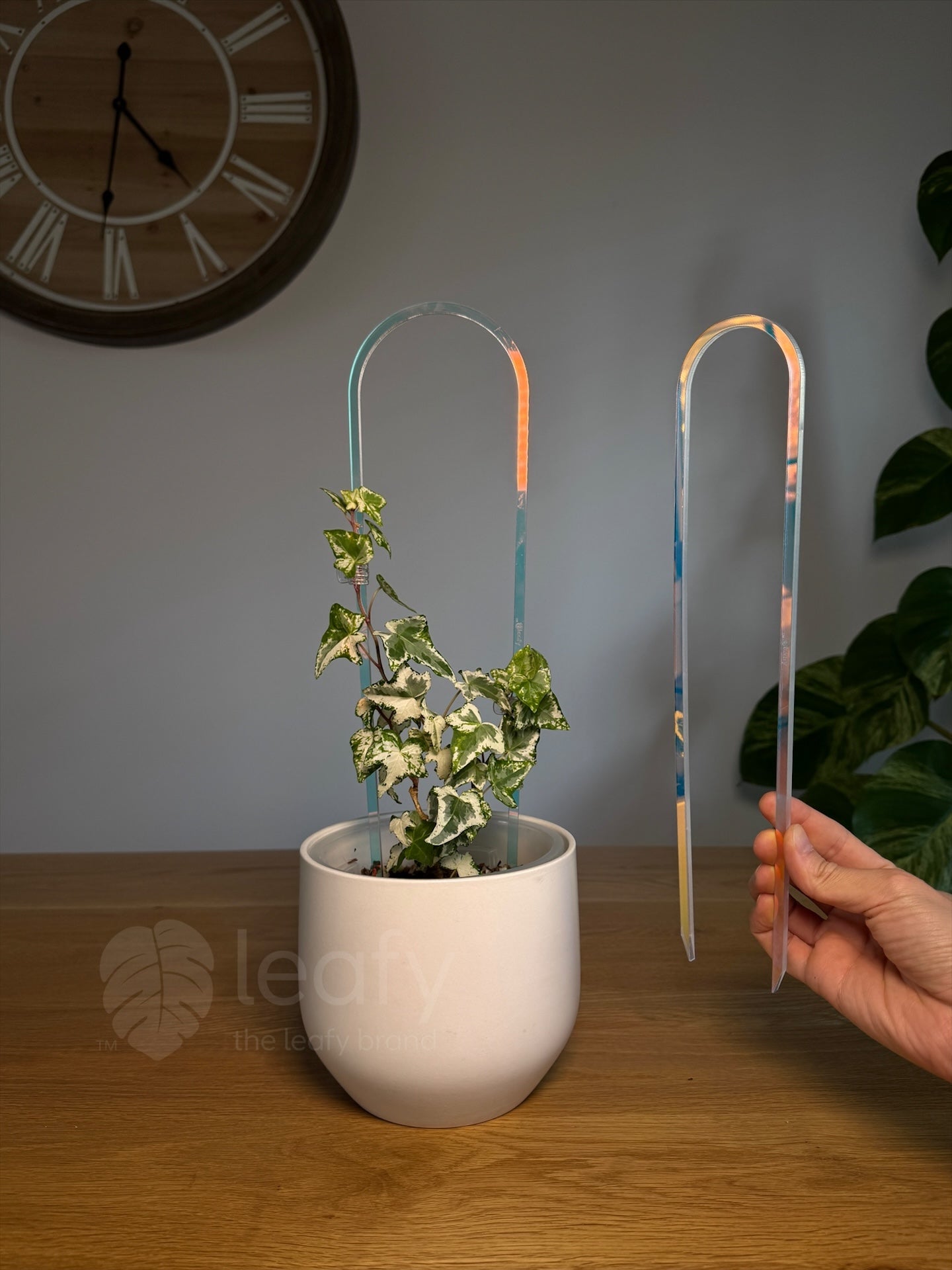 leafy™ Acrylic arch trellis