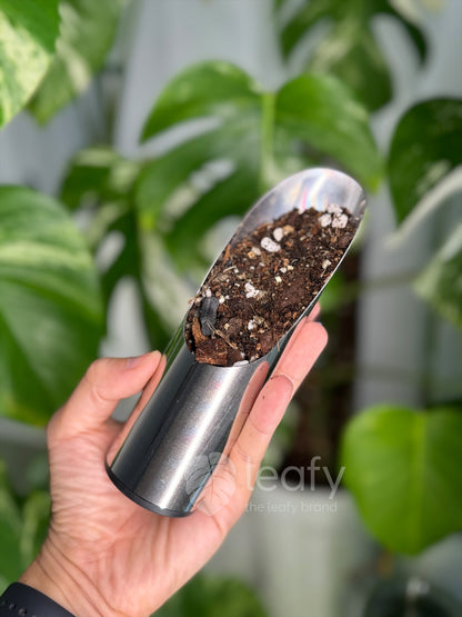 Bucket shovel soil scoop