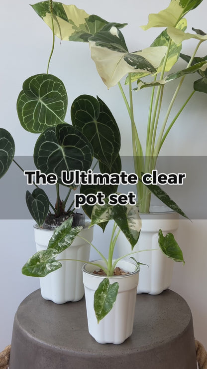 The Ultimate Clear Pot Set