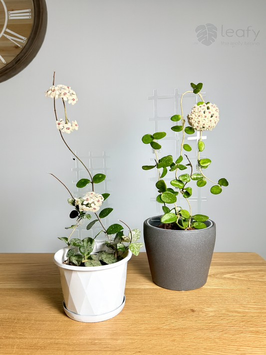 leafy™ Acrylic Grid Trellis
