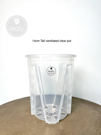 leafy™ Tall Ventilated clear pots